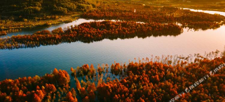 逆光度假民宿(皖南川藏线店)图片