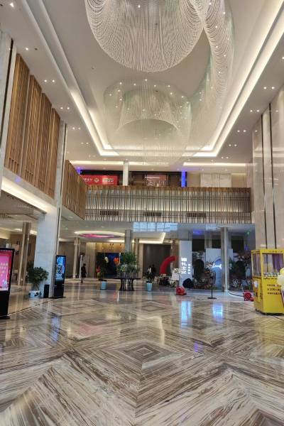 平阳紫京大酒店图片
