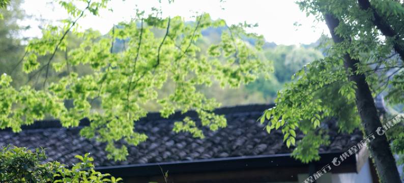 莫干山西璞民宿图片