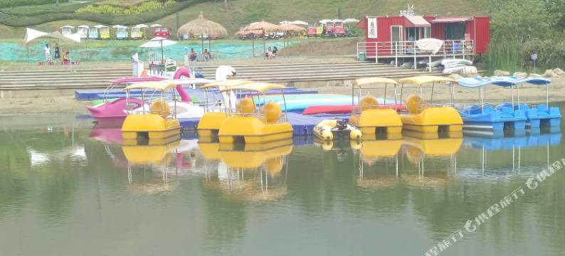 憬峰·植物庄园酒店(盐边红格店)图片