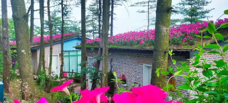 广元云顶美宿图片