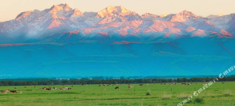 昭苏申途民宿(夏塔景区店)图片