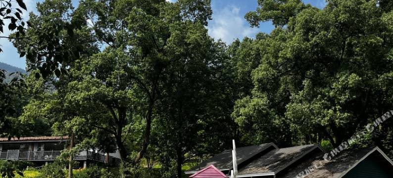 上高九峰心寓民宿图片