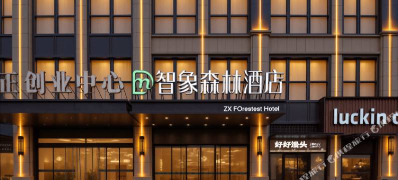 智象森林酒店(郑州高新区郑州大学地铁站店)图片