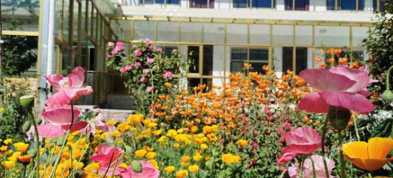 祁连聚客来驿站图片