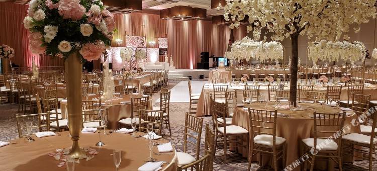 威斯汀酒店-芝加哥西北(The Westin Chicago Northwest)图片