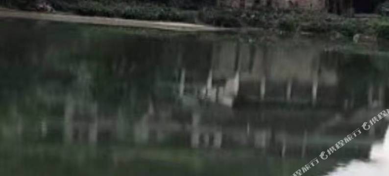 阳山江畔民宿图片