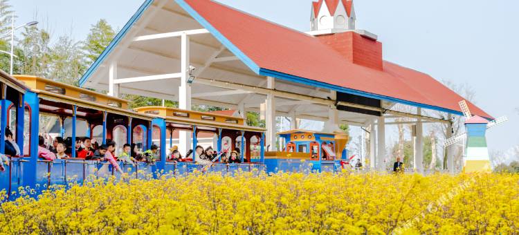 安吉中南度假·老虎酒店图片