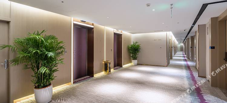 麗枫酒店(天津华苑店)图片