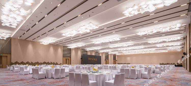 成都非遗博览园缇沃丽酒店图片