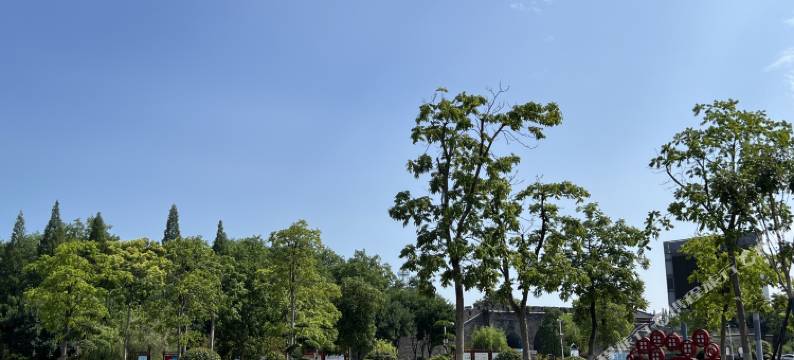 御庭精品酒店(荆州御河广场店)图片