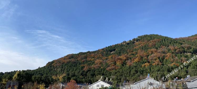 花筑·泰山橡薇民宿(红门登山口店)图片