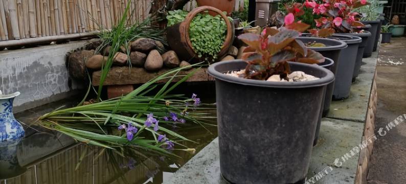 农民伯伯农庄图片