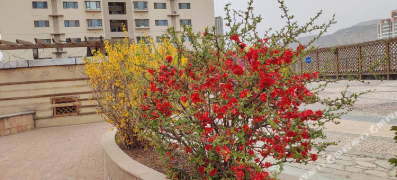 兰州富鑫家庭公寓图片