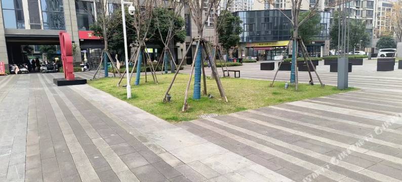 斯宇·轻奢LOFT公寓(力高雍湖国际店)图片
