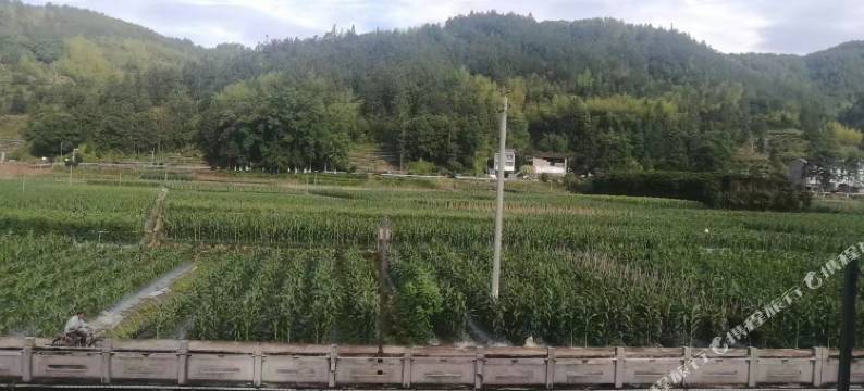 溪水居民宿图片