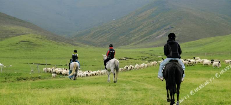 风马湖畔民宿图片