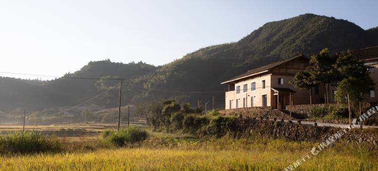 大乐之野(松阳店)图片