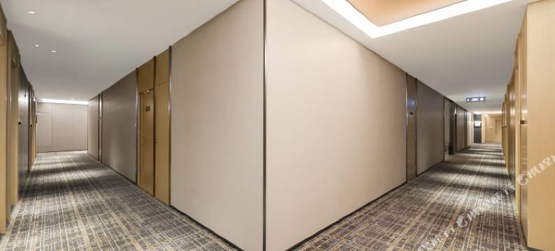 美豪丽致酒店(沈阳站太原街店)图片