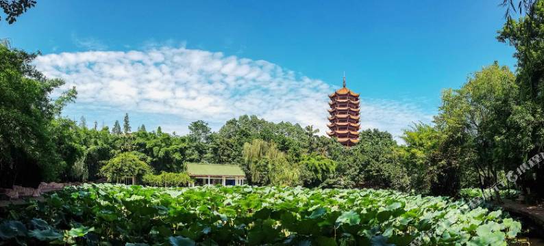 重庆双湖宾馆图片