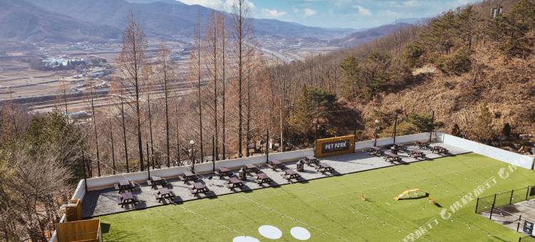 肯辛顿忠州假日酒店(Kensington Resort Chungju)图片