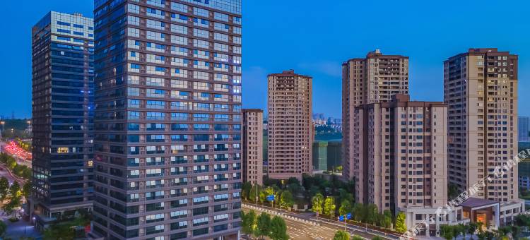 重庆国际博览中心丽柏酒店图片