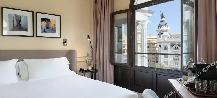 科洛梅拉宫H10酒店(H10 Palacio Colomera)图片