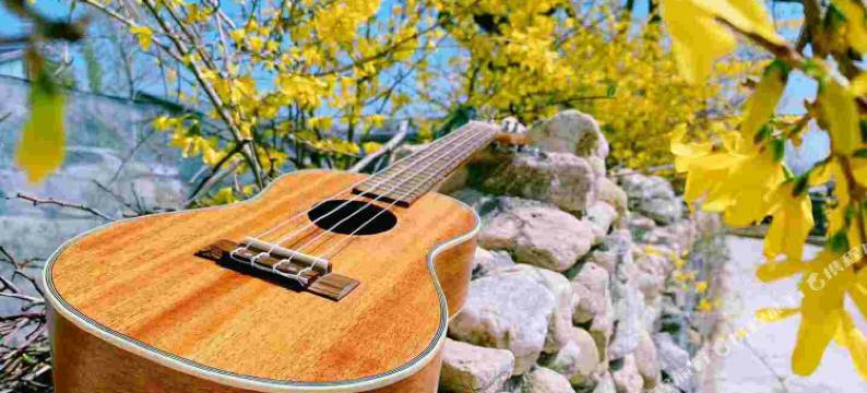 平邑供销商务宾馆图片