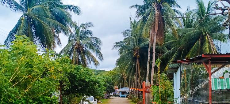 红多兹酒店@圣安东尼海滩度假村(RedDoorz @ St. Anthony Beach Resort)图片