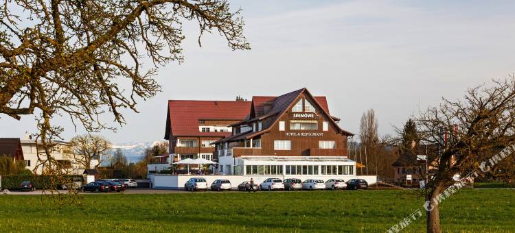 瑞士希莫维品质酒店(Seemöwe Swiss Quality Hotel)图片