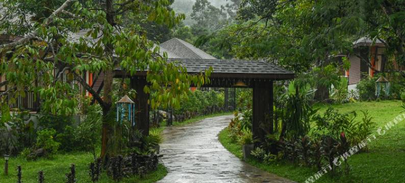 卡萨德·塔拉 苏梅(Cascade Tara)图片