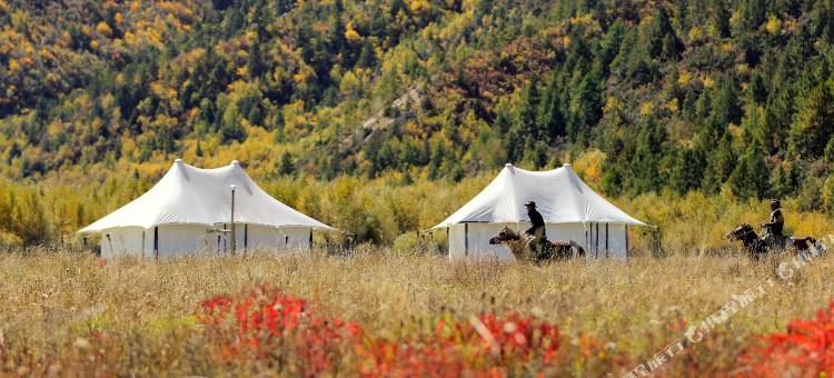 桃园藏居TheHiddenValleyResort图片