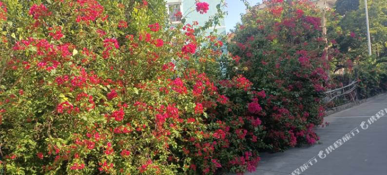 北海市银海区村中小民宿图片