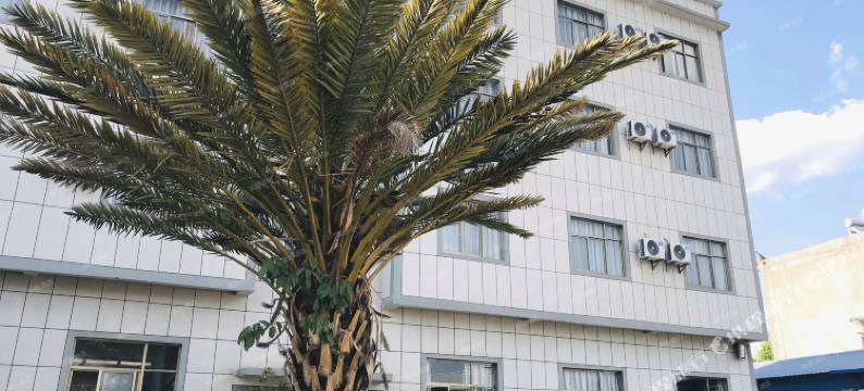 巍山锦鑫商务宾馆图片