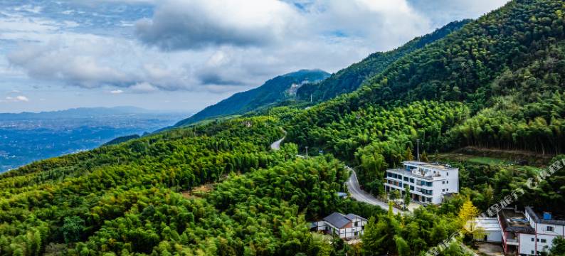 重庆茶山竹海竹良山色民宿图片