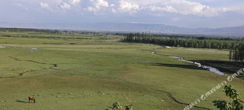 南河清泉|草原湿地风情山泉度假美宿(伊宁喀什镇店)图片