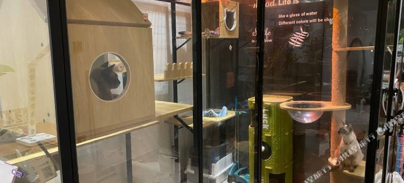 赵财猫·民宿(开封清明上河园中国翰园碑林店)图片