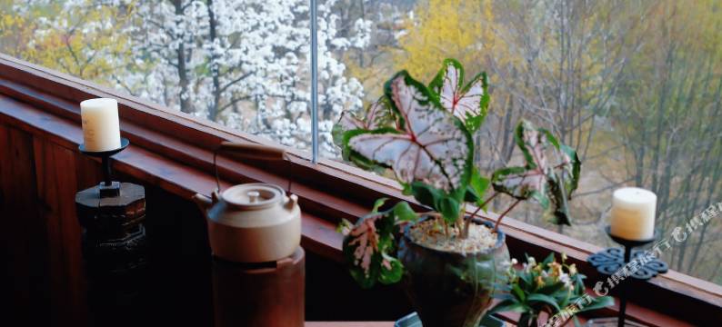 山的禅｜山的书房图片