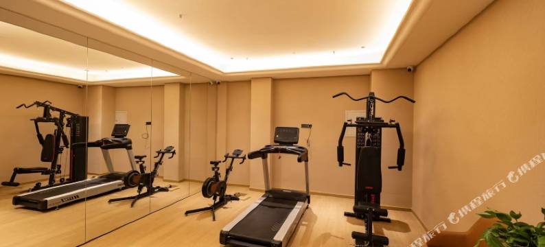 维也纳酒店(洛阳汝阳杜康大道店)图片