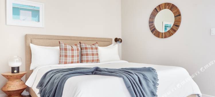 Sonder the Leo图片