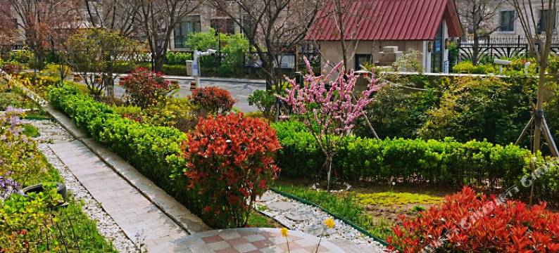 青岛仁者无敌公寓图片