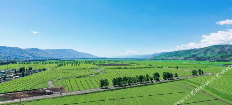 漫时光·Camping style庭院BBQ民宿(那拉提草原店)图片