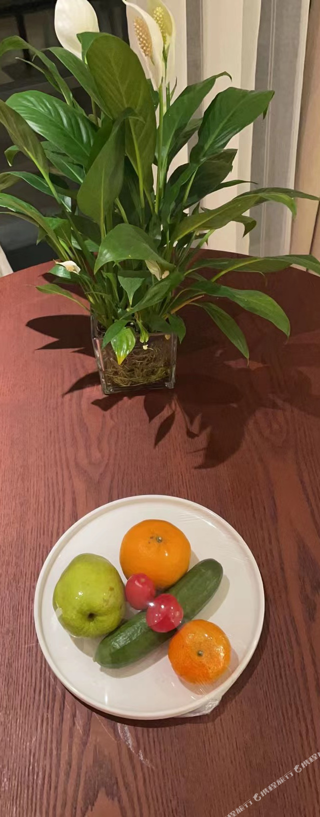 盐城酒店推荐|南洋国际机场金陵嘉珑酒店体验