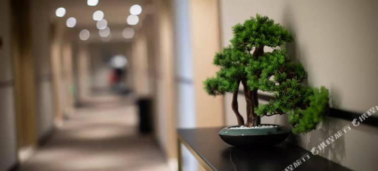 城市便捷酒店(桐乡崇福店)图片