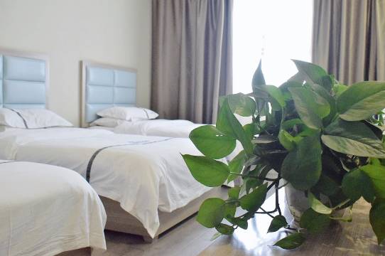 叶城爱家商务酒店