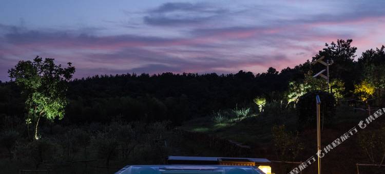 长兴阿那度(Anadu)橄榄庄园图片