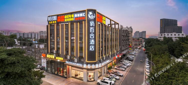 俏百合酒店(佛山顺德锦龙地铁站店)图片
