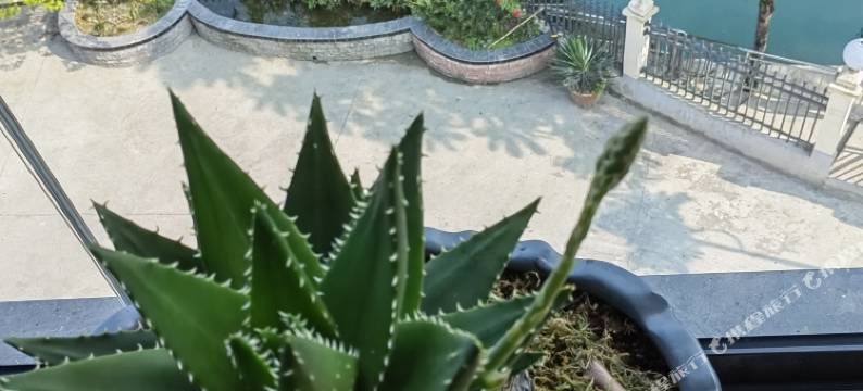 正安蓝湖民宿图片