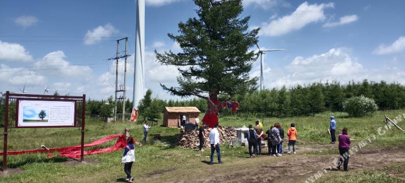 富贵树农家院图片