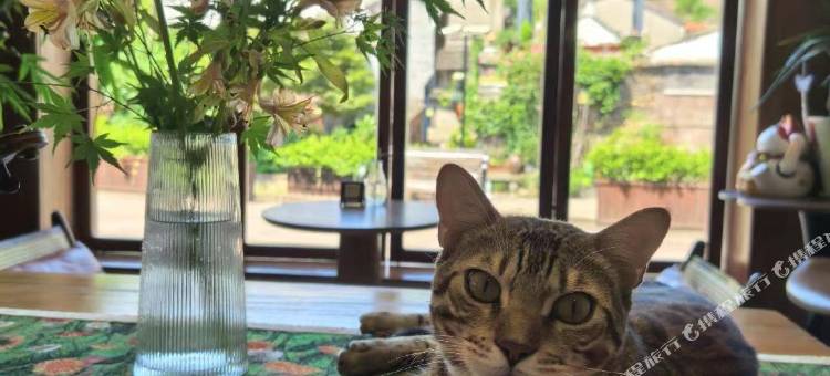 宁波吾壹山居(宁波东钱湖韩岭店)图片